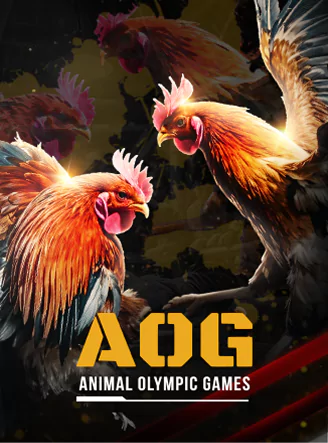 Cock Fighting