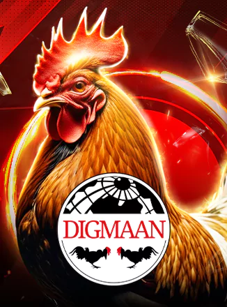 Cock Fight