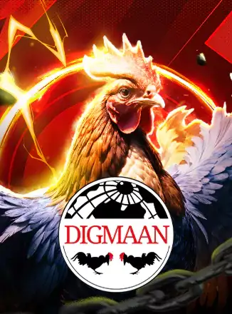 Cock Fighting