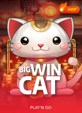 Big Win Cat