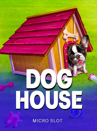 Doghouse
