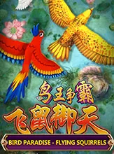 Bird Paradise
